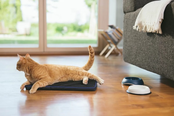 Petspemf Pad Review