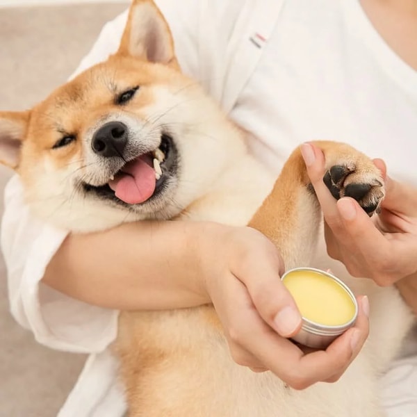 PetWoof Amo Petric Sea Buckthorn Paw Balm 評測