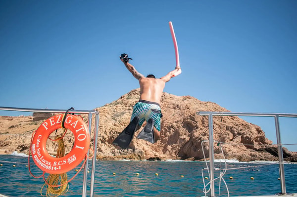 PezGato Snorkeling Tour Review