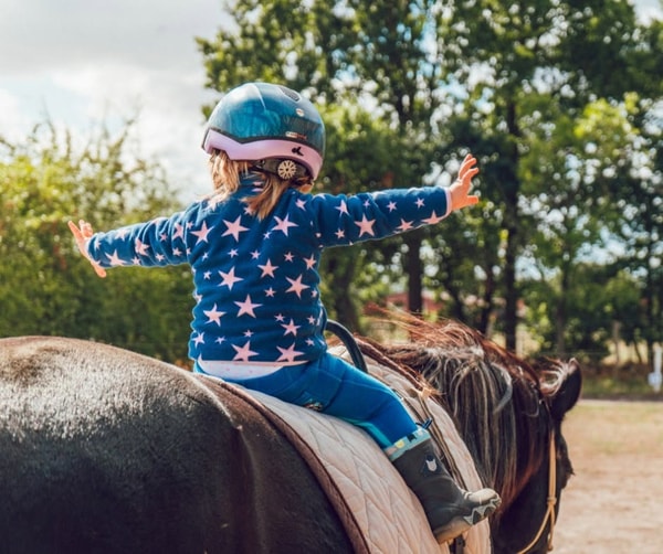 Horse Liability Insurance BASIC Bewertung