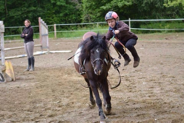&Uuml;ber Pferd Spezial