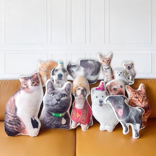 PGFinds 3D Personalized Pet Photo Pillow Review