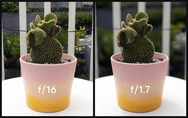 PhotoPacks.AI Review