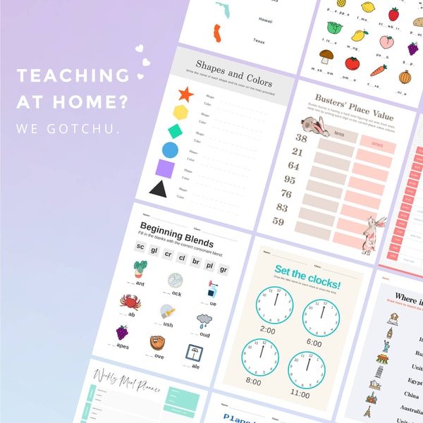 PicMonkey Basic Plan Review