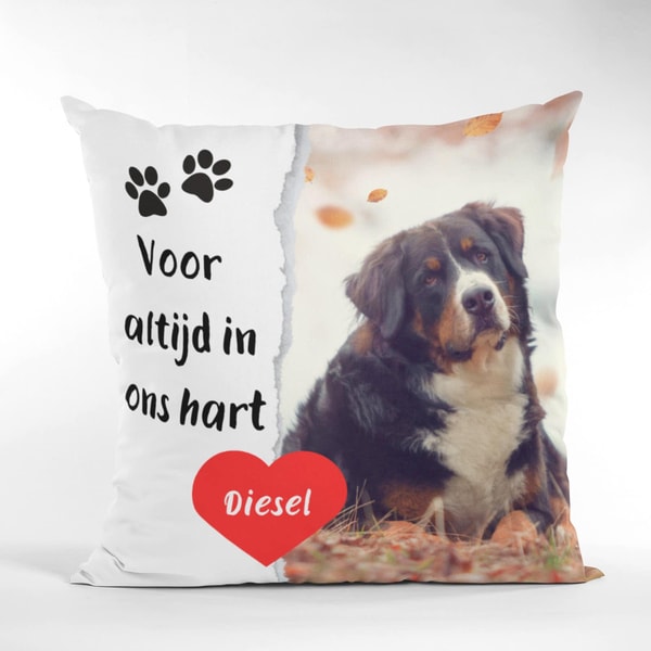 PillowBuddies Beoordeling