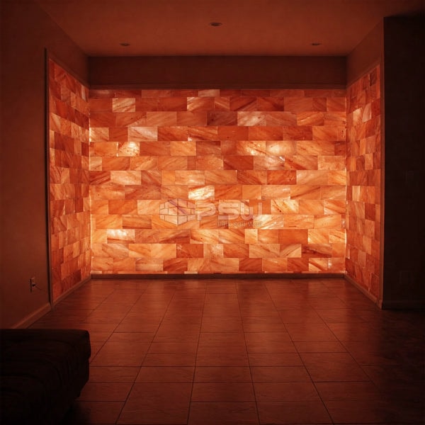 Pink Salt Wall Himalayan Pink Salt Tiles 8" x 4" x 1" Reviews