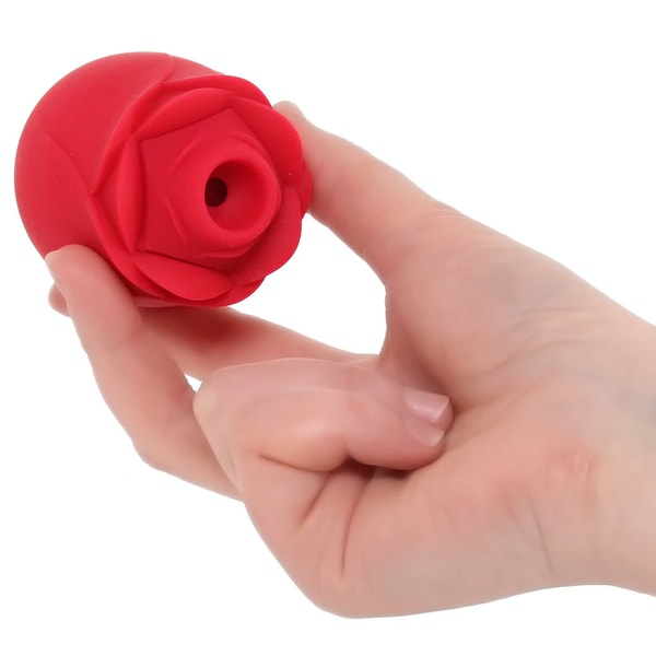 PinkCherry Rose Vibrator 2.0 Review
