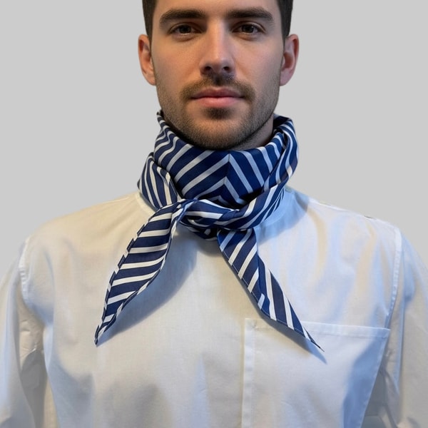 PINTO HERVIA Arrombo Scarf Blue Stripe Reviews