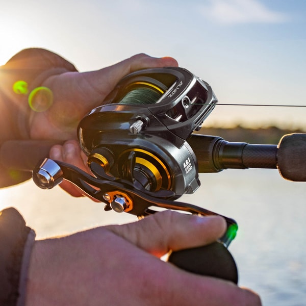 Piscifun AlinoX 300 Low Profile Baitcasting Reel Review