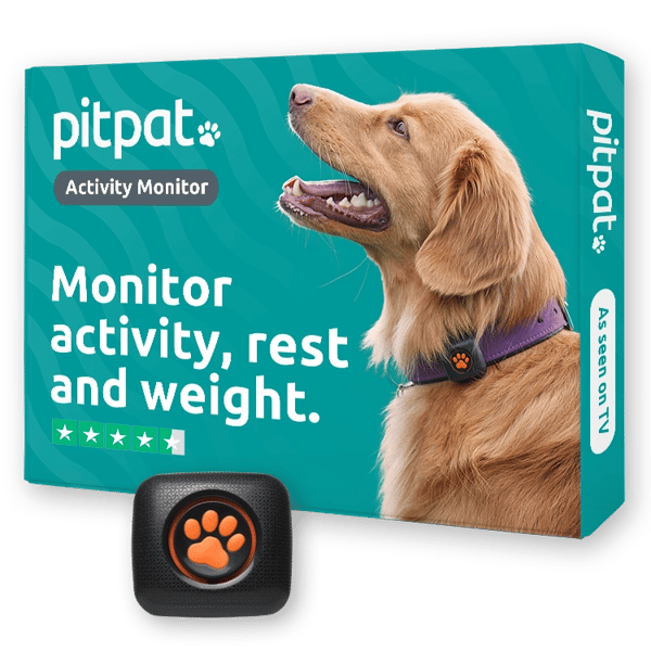 PitPat Dog Activity Monitor Review