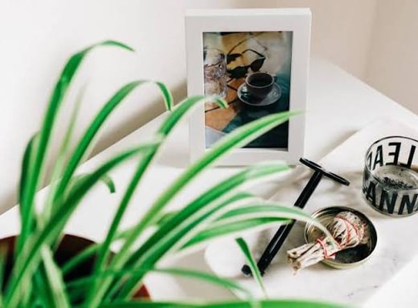 &Uuml;ber Pixartprinting