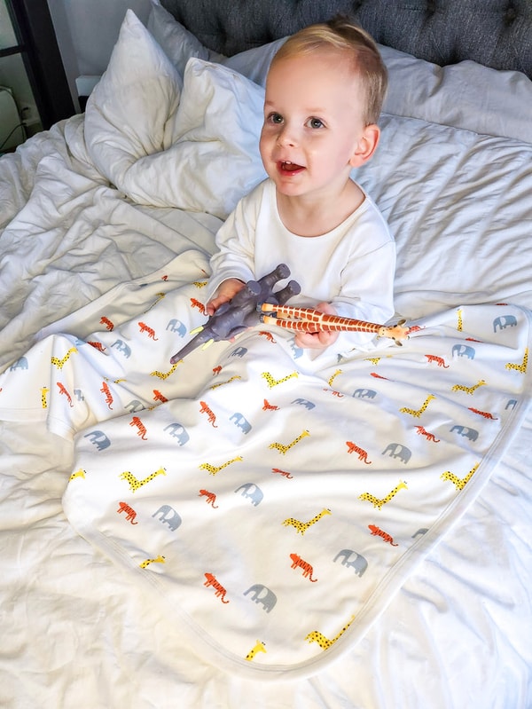Pixie Dixie Animal Blanket Review