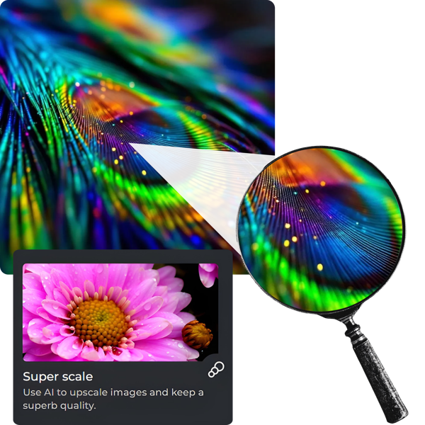 About Pixlr