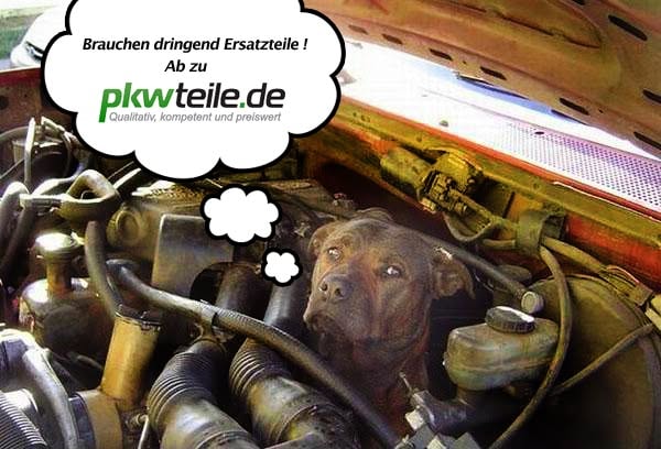 Pkwteile Bewertung