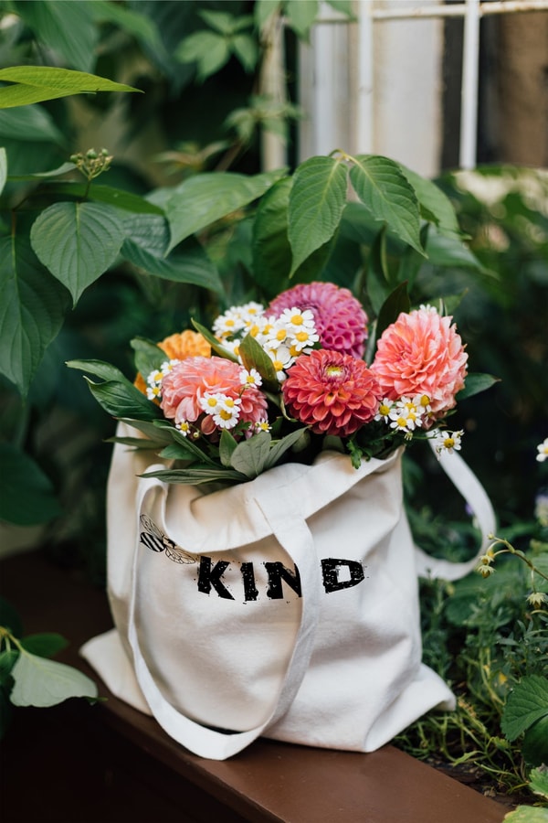 About Plant Addicts