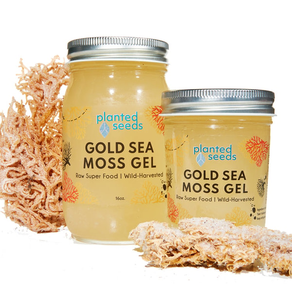 Planted Seeds Sea Moss Gold Sea Moss Gel Reviews