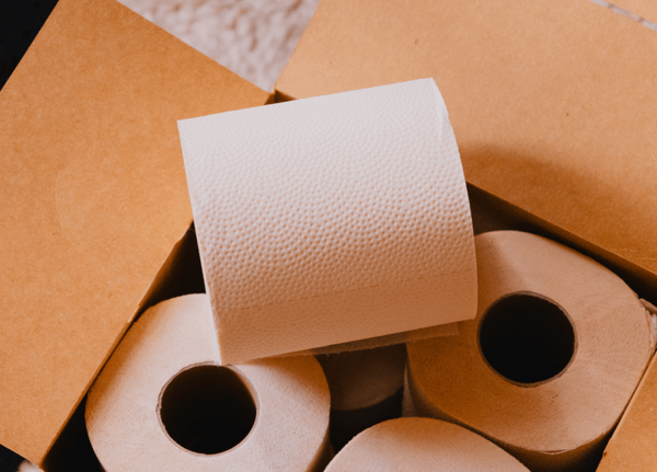 PlantPaper The Softest Toilet Paper on the Planet Review
