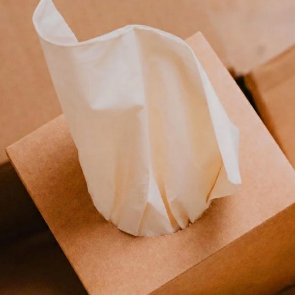 PlantPaper Facial Tissue Review