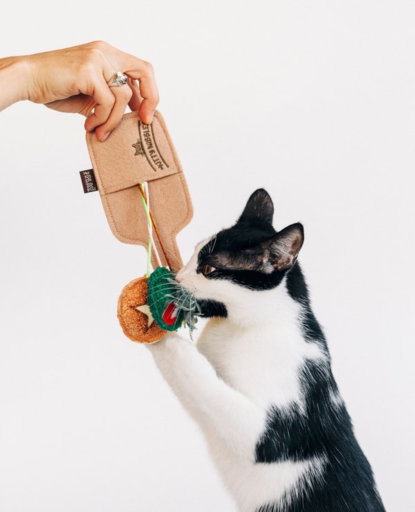 About Play Pet Brands