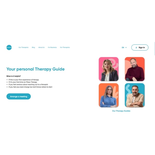 Pleso Therapy Guide Review