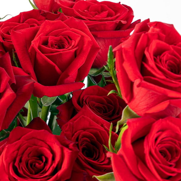 POMP Flowers Ruby Red Roses Review