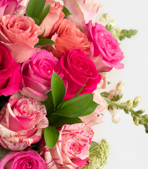 POMP Flowers Pink Lady Review