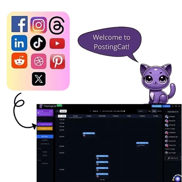 PostingCat Platform Review