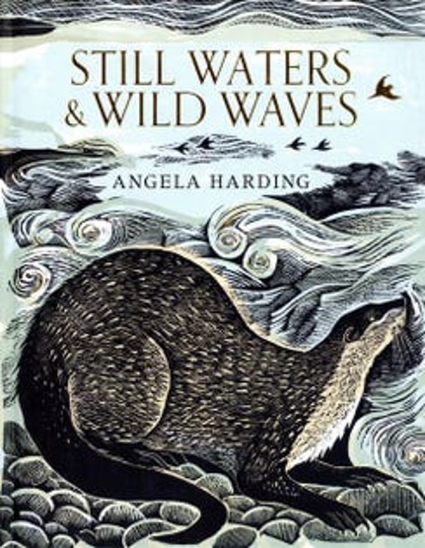 Postscript Books Still Waters and Wild Waves Review