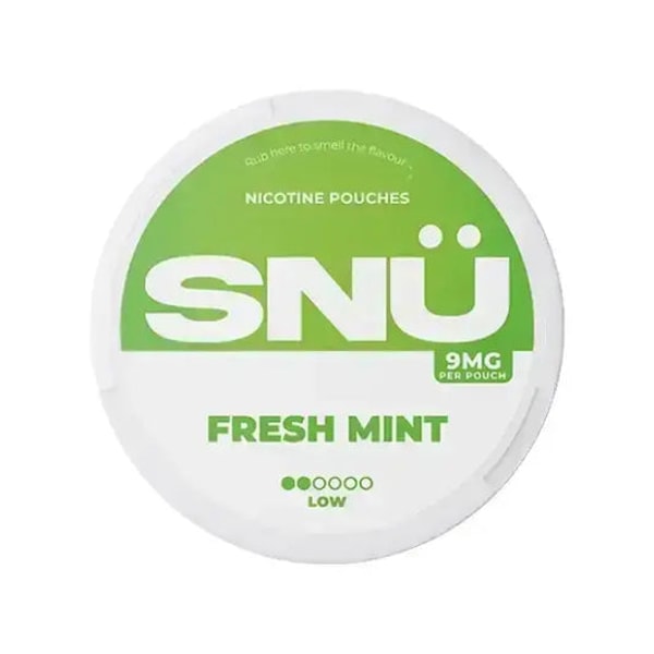 Pouch Central SN&Uuml; Fresh Mint Review