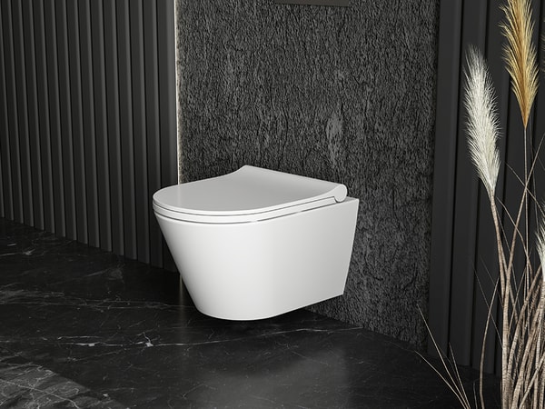 Praktiker WC Sp&uuml;lrandlos Review