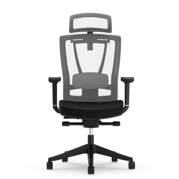 FlexiSpot Premium Ergonomic Office Chair C7 AIR Review