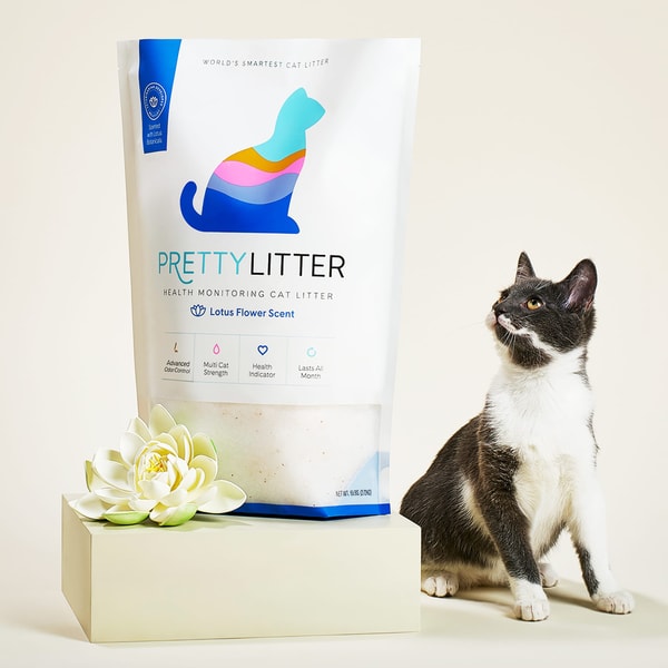 PrettyLitter Scented Cat Litter Review