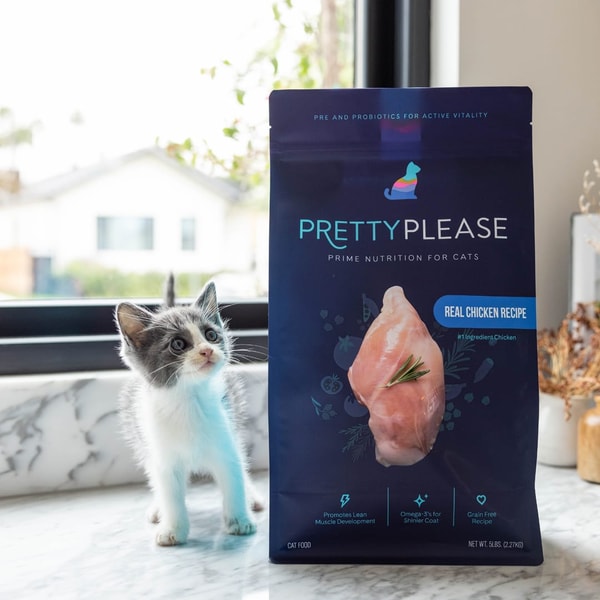 PrettyLitter PrettyPlease Cat Food Review