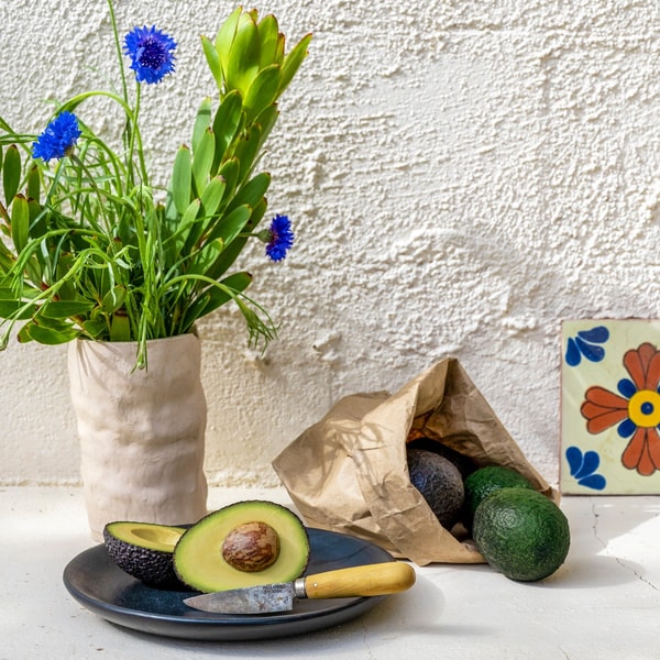 About Primavera Avocados