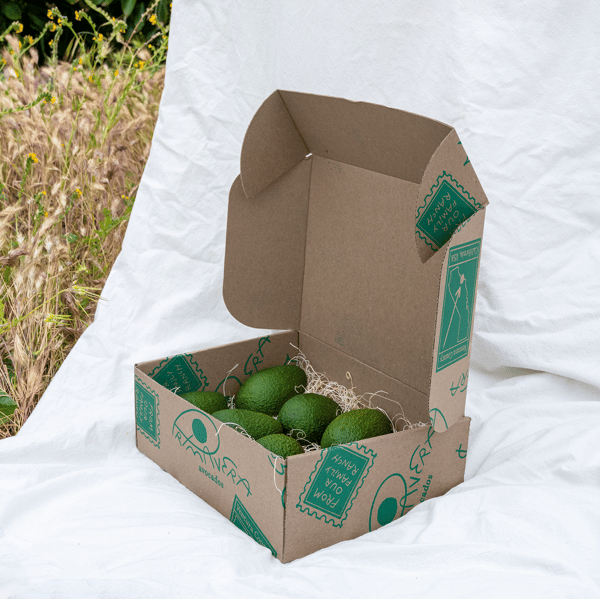 Primavera Avocados Review