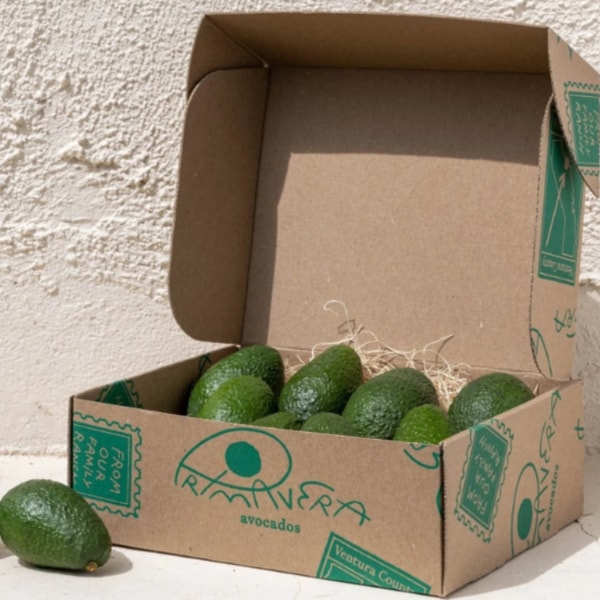 Primavera Avocados Primavera Avocado Box Reviews