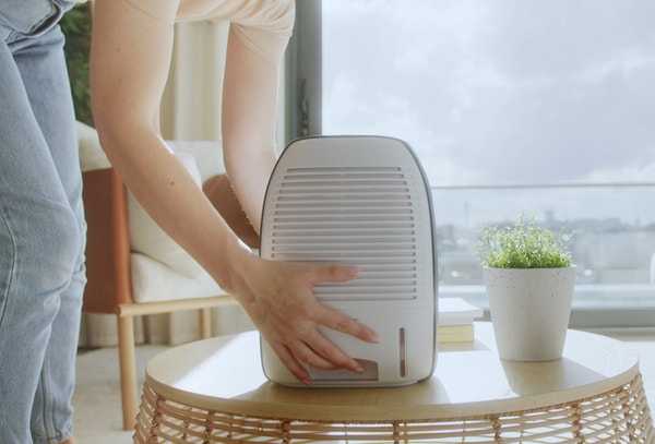 All'interno del mondo di Pro Breeze
