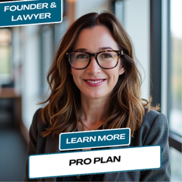 Hello Divorce Pro Plan Review