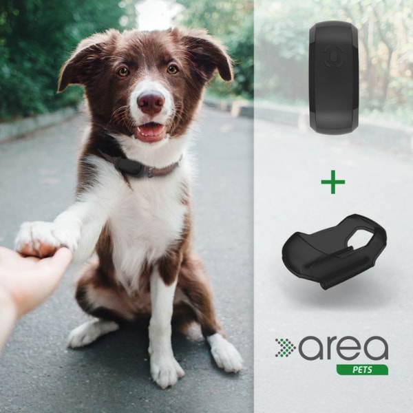 Prothelis area Pets Bewertung