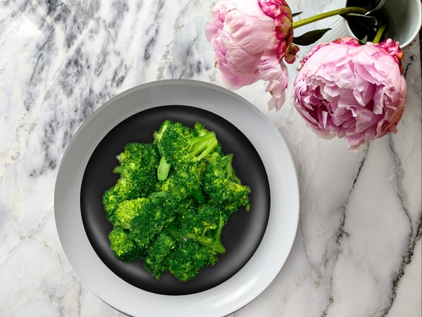 Provenance Meals Feel Good Fix Review