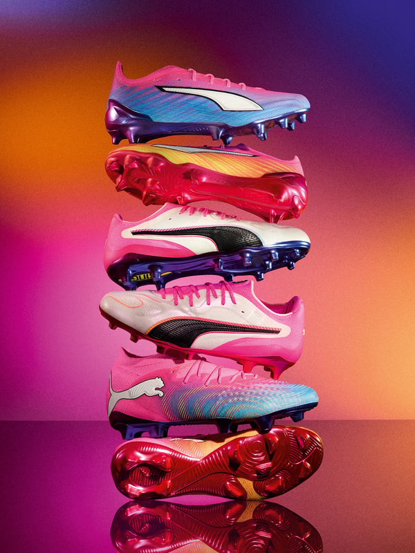 Acerca de PUMA