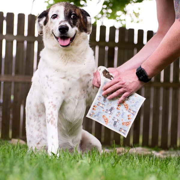 Puppington Review