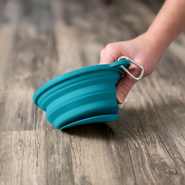 Puppington Slow-Feeding Travel Dog Bowl Review