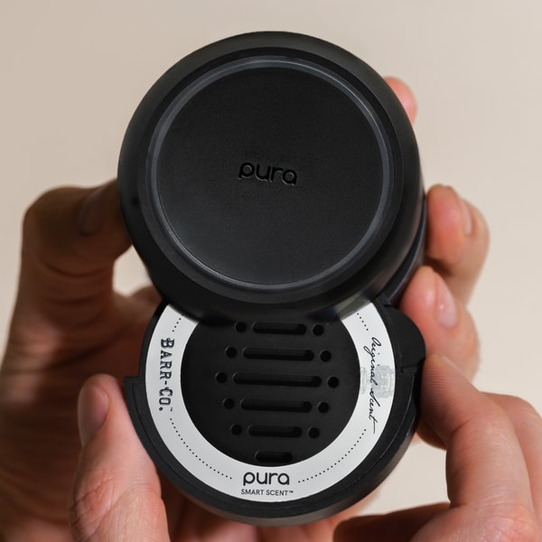 Pura Review