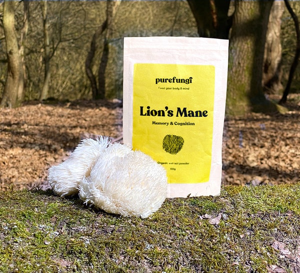 Pure Fungi Lion's Mane Extract Review