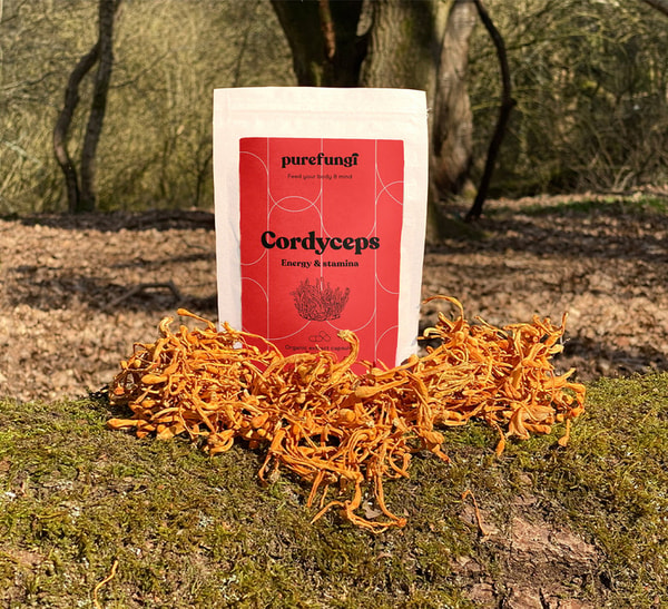 Pure Fungi Organic Cordyceps Extract Capsules Review