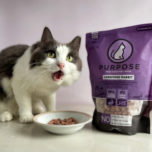 Purpose Pet Food Review