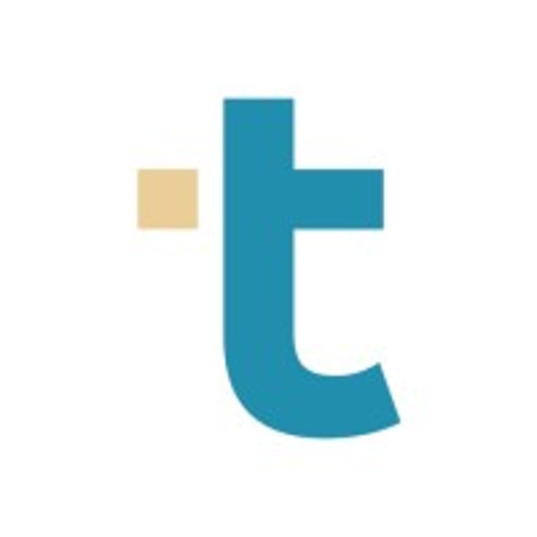 Puzzle vs Tofu: AI Accounting Solutions for Startups and Firms