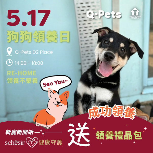 Q-PETS 概览