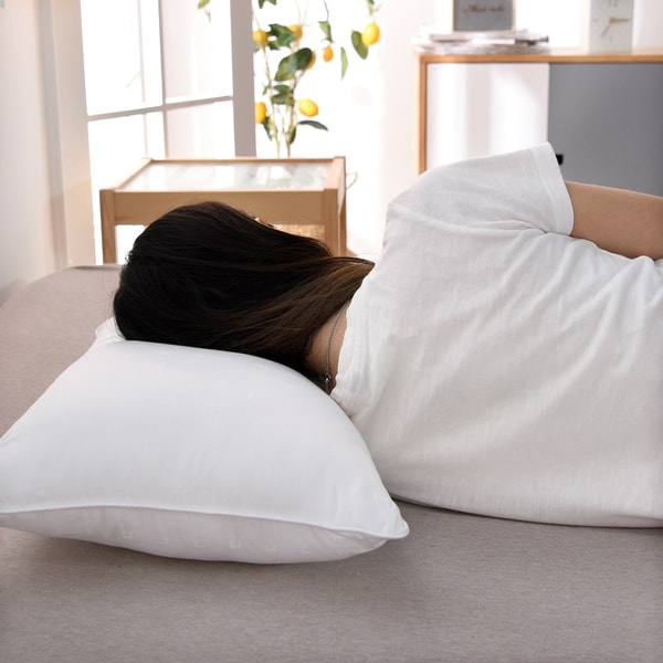 Qbedding Micro-Fiber Pillow Review
